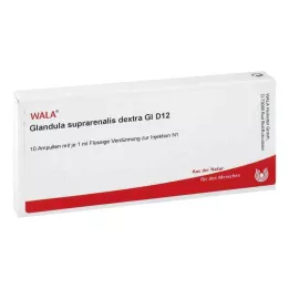 GLANDULA SUPRARENALES dextra GL D 12 ampollas, 10X1 ml