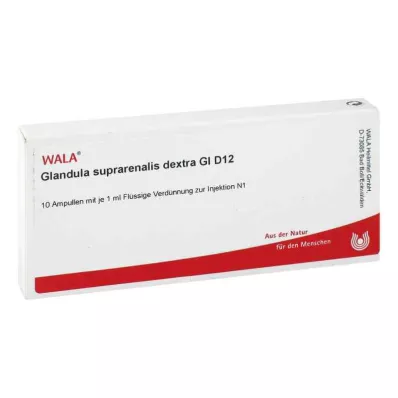 Glándula suprarrenal.Ampollas Dextra Gl D12 (10x1 ml)