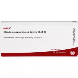 GLANDULA SUPRARENALES dextra GL D 30 ampollas, 10X1 ml