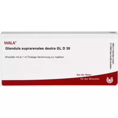 GLANDULA SUPRARENALES dextra GL D 30 ampollas, 10X1 ml