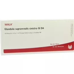 GLANDULA SUPRARENALIS sinistra GL D 4 ampollas, 10X1 ml