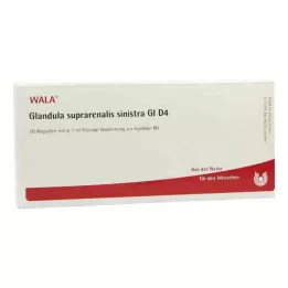 GLANDULA SUPRARENALIS sinistra GL D 4 ampollas, 10X1 ml