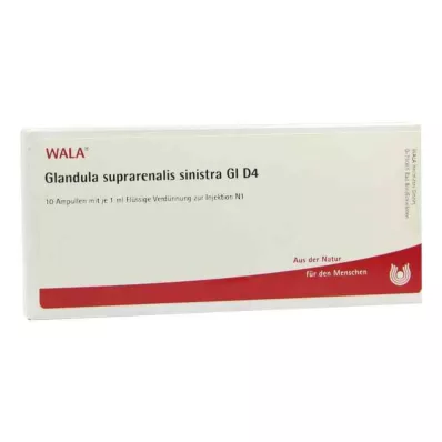 GLANDULA SUPRARENALIS sinistra GL D 4 ampollas, 10X1 ml