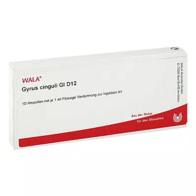 GYRUS cinguli GL D 12 ampollas, 10X1 ml GYRUS cinguli GL D 12 ampollas, 10X1 ml