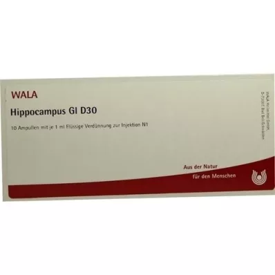 HIPPOCAMPUS GL D 30 Ampollas, 10X1 ml