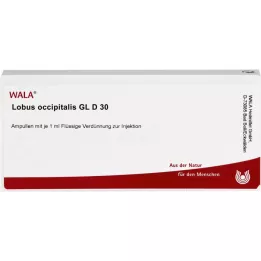 LOBUS occipital GL D 30 ampollas, 10X1 ml