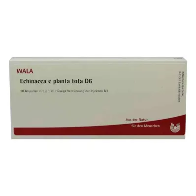 ECHINACEA E planta tota D 6 Ampollas, 10X1 ml ECHINACEA E planta tota D 6 Ampollas, 10X1 ml