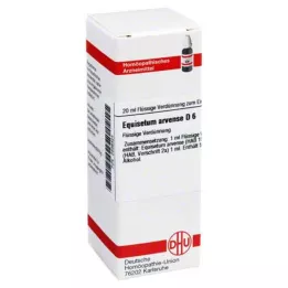 EQUISETUM ARVENSE D 6 Dilución, 20 ml