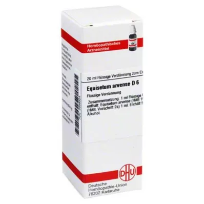 EQUISETUM ARVENSE D 6 Dilución, 20 ml