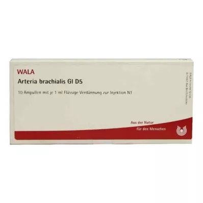 Arteria braquial Gl D5 ampollas (10x1 ml)