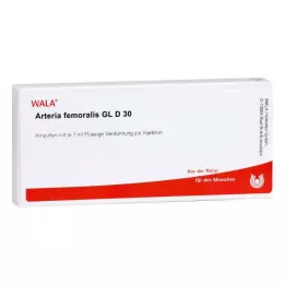 ARTERIA FEMORALIS GL D 30 Ampollas, 10X1 ml