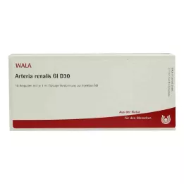 ARTERIA RENALIS GL D 30 Ampollas, 10X1 ml
