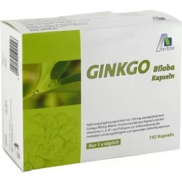 GINKGO 100 mg cápsulas+B1+C+E, 192 uds