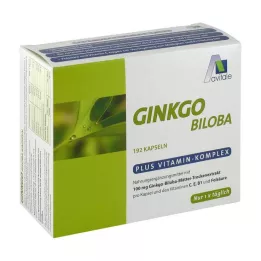 GINKGO 100 mg cápsulas+B1+C+E, 192 uds
