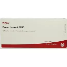 CAVUM tympani GL D 6 ampollas, 10X1 ml