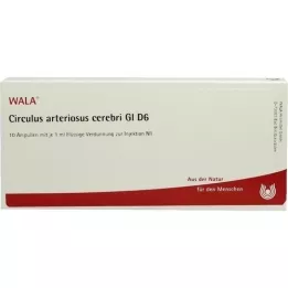 CIRCULUS arteriosus cerebri GL D 6 ampollas, 10X1 ml