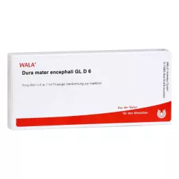 DURA MATER encephali GL D 6 ampollas, 10X1 ml