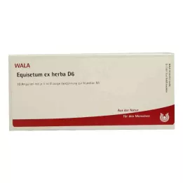 EQUISETUM EX Herba D 6 Ampollas, 10X1 ml
