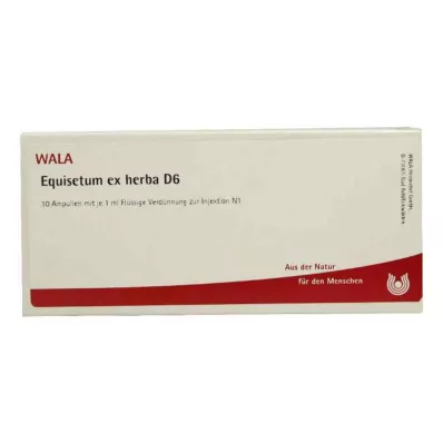 EQUISETUM EX Herba D 6 Ampollas, 10X1 ml