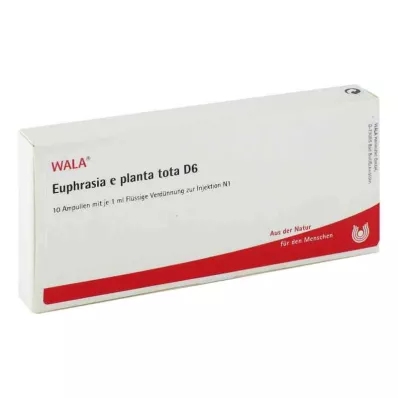 EUPHRASIA E planta tota D 6 Ampollas, 10X1 ml EUPHRASIA E planta tota D 6 Ampollas, 10X1 ml