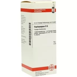 HAPLOPAPPUS D 6 Dilución, 50 ml