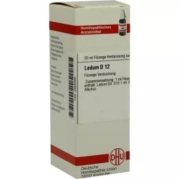 LEDUM D 12 Dilución, 20 ml