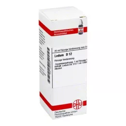 LEDUM D 12 Dilución, 20 ml