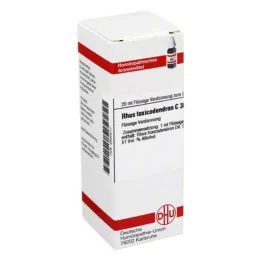 RHUS TOXICODENDRON Dilución C 30, 20 ml