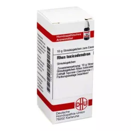 RHUS TOXICODENDRON D 200 glóbulos, 10 g