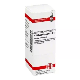 SOLIDAGO VIRGAUREA D 12 Dilución, 20 ml