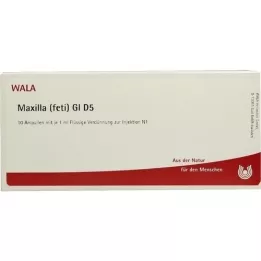 MAXILLA feti GL D 5 ampollas, 10X1 ml