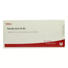 MAXILLA feti GL D 5 ampollas, 10X1 ml