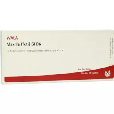 MAXILLA feti GL D 6 ampollas, 10X1 ml MAXILLA feti GL D 6 ampollas, 10X1 ml