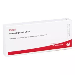 MUSCULI GLUTAEI GL D 5 ampollas, 10X1 ml