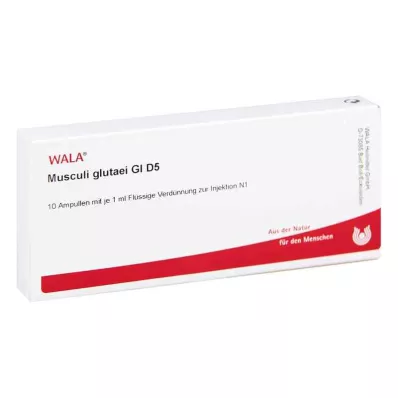 MUSCULI GLUTAEI GL D 5 ampollas, 10X1 ml