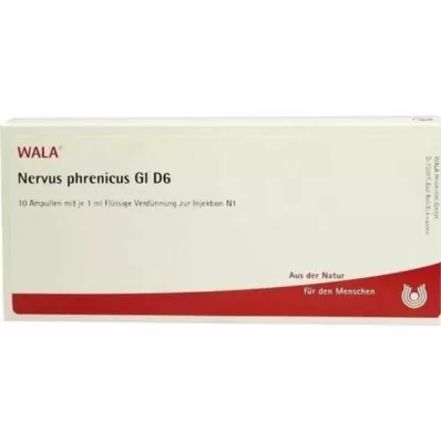 NERVUS PHRENICUS GL D 6 Ampollas, 10X1 ml NERVUS PHRENICUS GL D 6 Ampollas, 10X1 ml
