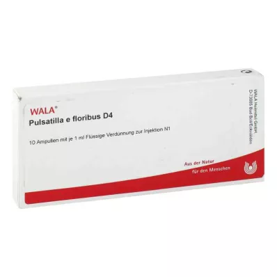 PULSATILLA E floribus D 4 Ampollas, 10X1 ml
