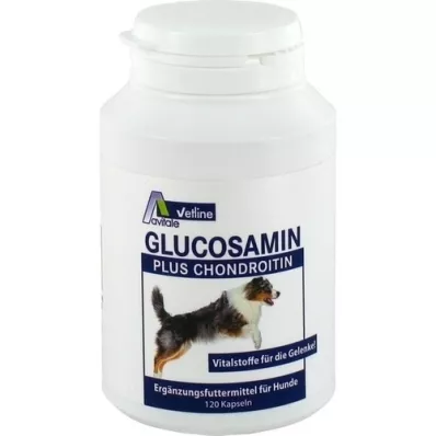 GLUCOSAMIN+CHONDROITIN Cápsulas para perros, 120 uds