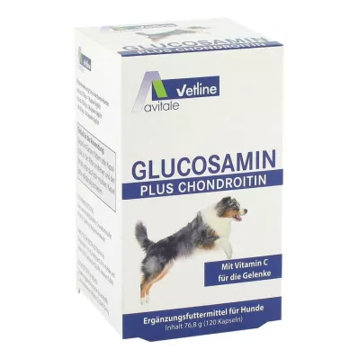 GLUCOSAMIN+CHONDROITIN Cápsulas para perros, 120 uds