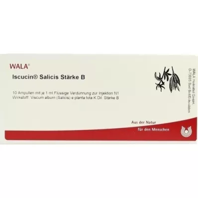 ISCUCIN ampollas de almidón salicis B, 10X1 ml