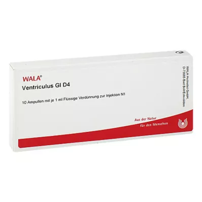 Ventrículo GL D 4 ampollas, 10X1 ml Ventrículo GL D 4 ampollas, 10X1 ml