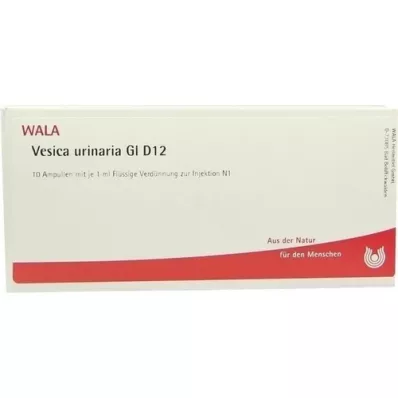 VESICA URINARIA GL D 12 Ampollas, 10X1 ml