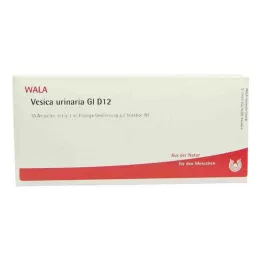 VESICA URINARIA GL D 12 Ampollas, 10X1 ml