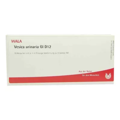 VESICA URINARIA GL D 12 Ampollas, 10X1 ml