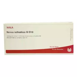 NERVUS ISCHIADICUS GL D 10 ampollas, 10X1 ml