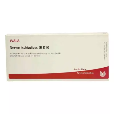 Nervio ciático Gl D10 ampollas (10x1 ml)