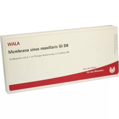 MEMBRANA seno maxilar GL D 8 ampollas, 10X1 ml