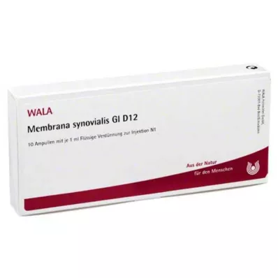 Membrana sinovialis GL D 12 ampollas, 10X1 ml