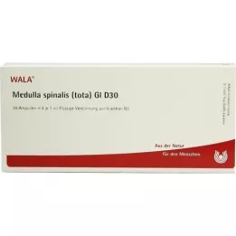 MEDULLA SPINALIS tota GL D 30 ampollas, 10X1 ml