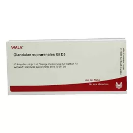 GLANDULAE SUPRARENALES GL D 5 ampollas, 10X1 ml